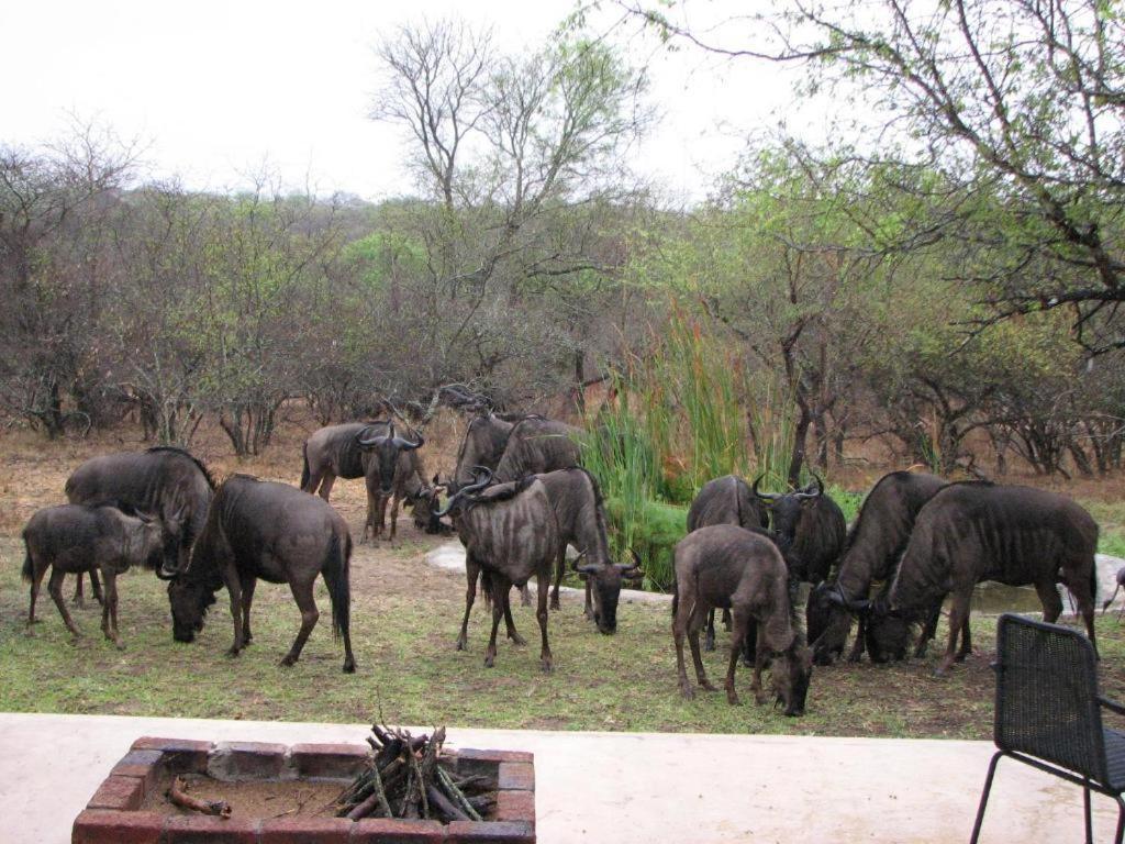 Turaco Lodge - No Loadshedding Marloth Park Bagian luar foto
