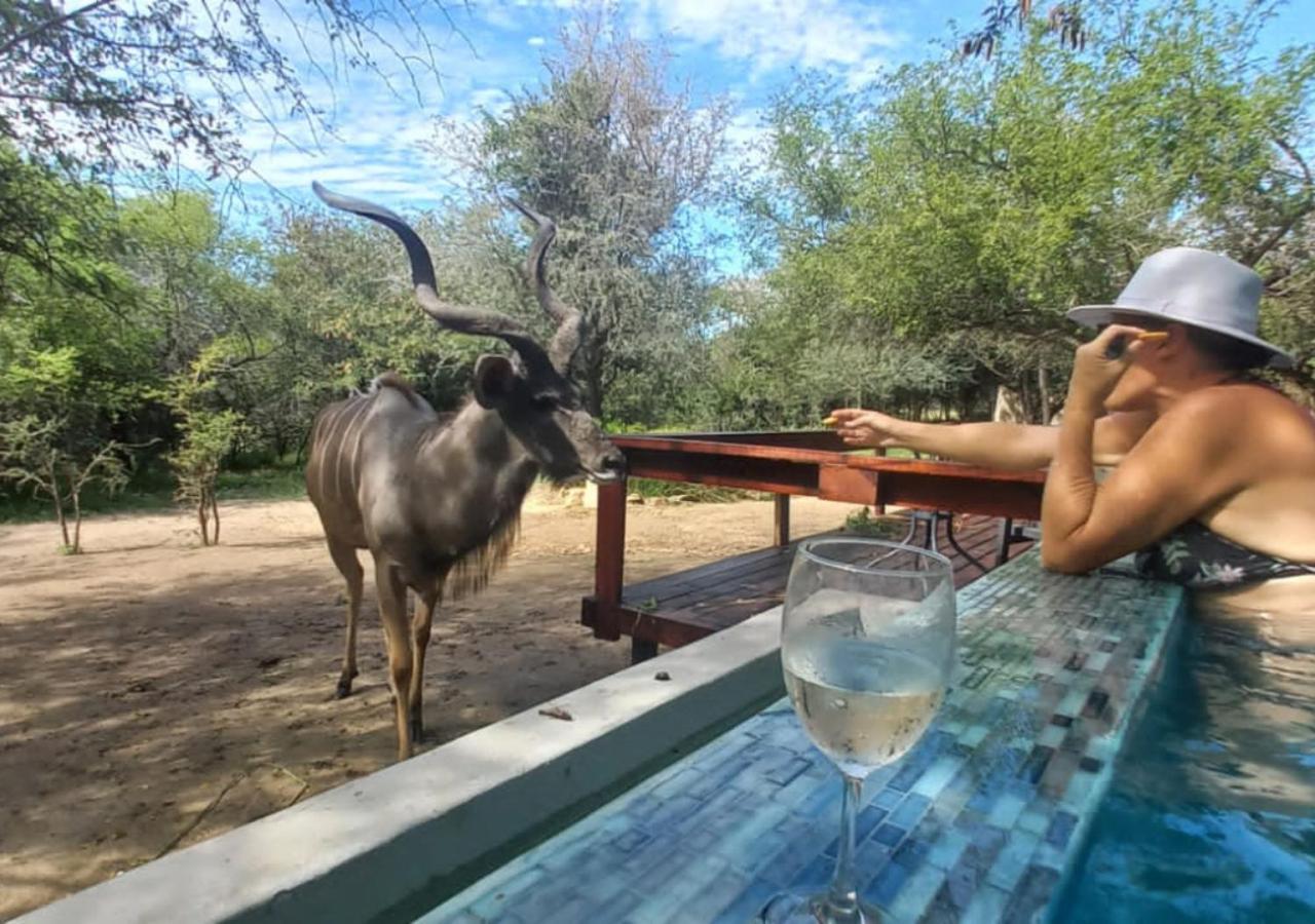 Turaco Lodge - No Loadshedding Marloth Park Bagian luar foto