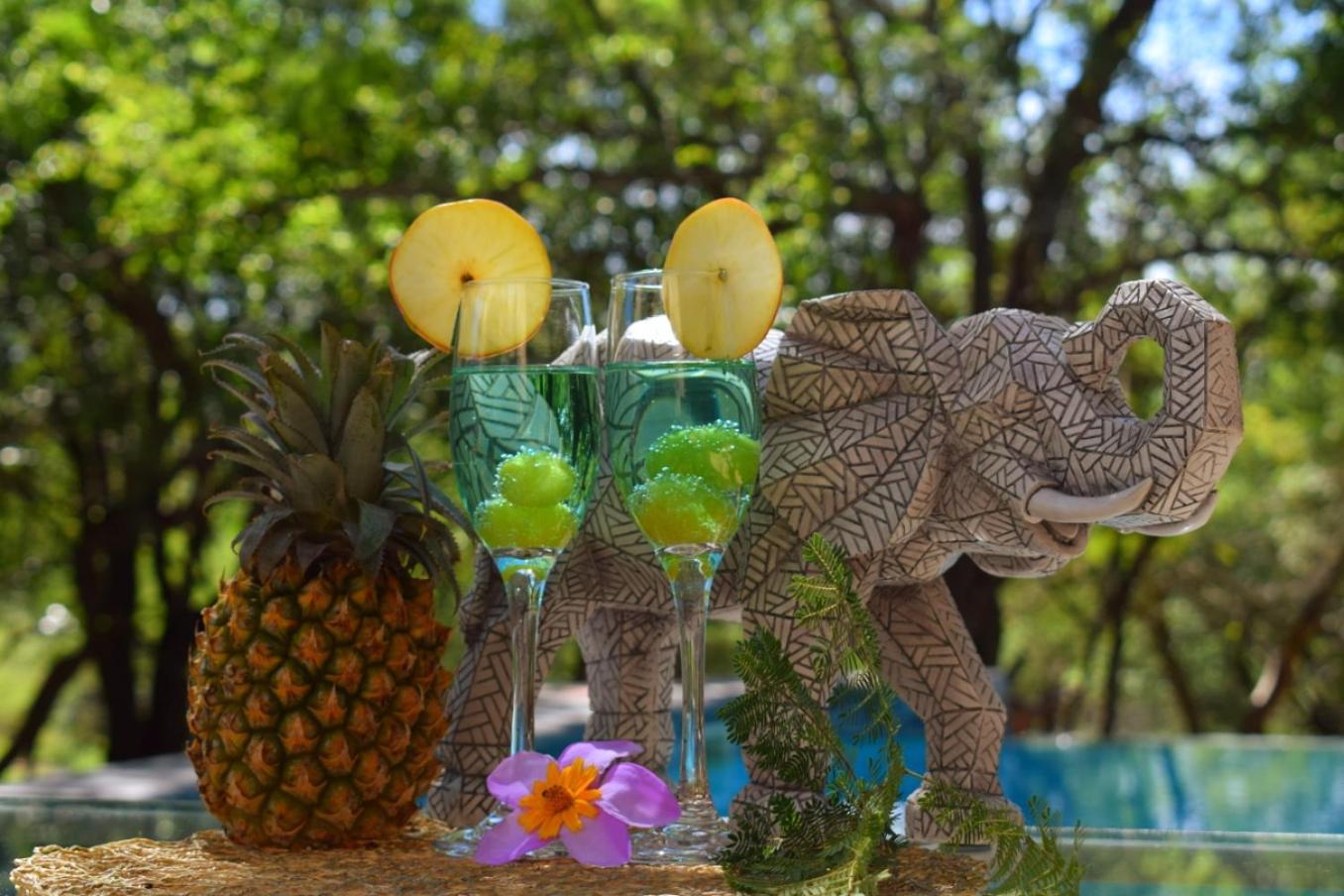 Turaco Lodge - No Loadshedding Marloth Park Bagian luar foto